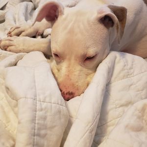 Meet your Posher, Krista